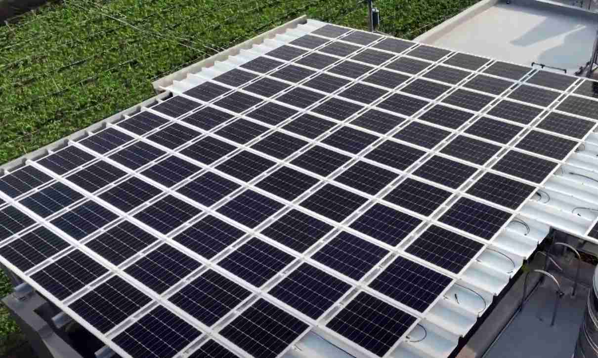 蓝狮在线SunSteel光电浪板升级双玻结构，，以提升机械负载强度及气候耐候度，，，，可广泛运用于多元场域